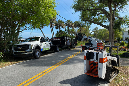 Tree Removal Services Near me